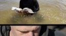 Humans saving animals