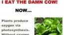 Some interesting facts