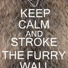 Keep calm and pet a furry friend