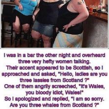 Hefty women at a bar