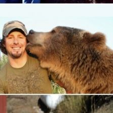 Friends with a bear