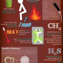 Facts about your farts