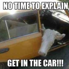 Get in the car
