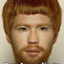 A Chinese Ginger