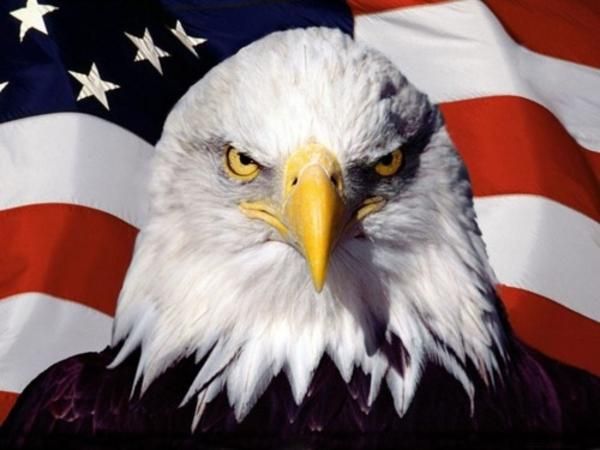american-pride-eagle.jpg
